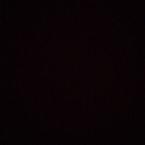 Meet your Posher, Oscar